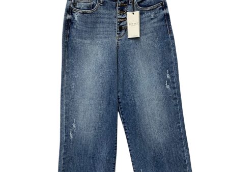 Jeans Wide Leg By Judy Blue In Blue Denim, Size: 0 Online now