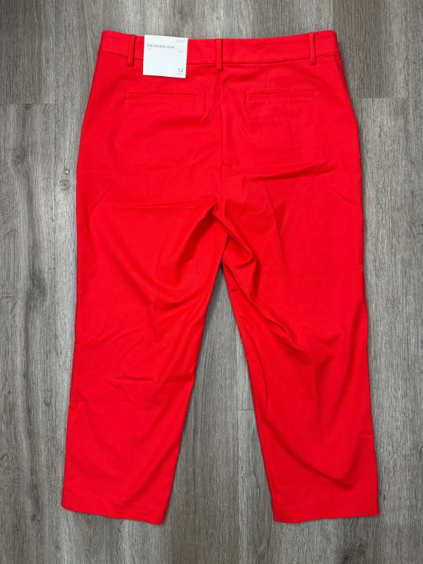 Pants Cropped By Loft In Red, Size: Xl Online Sale