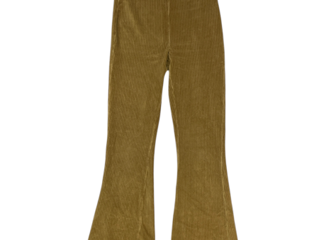 Athletic Pants By Aerie In Gold, Size: M Hot on Sale