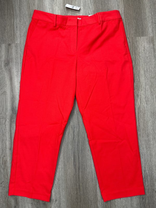 Pants Cropped By Loft In Red, Size: Xl Online Sale