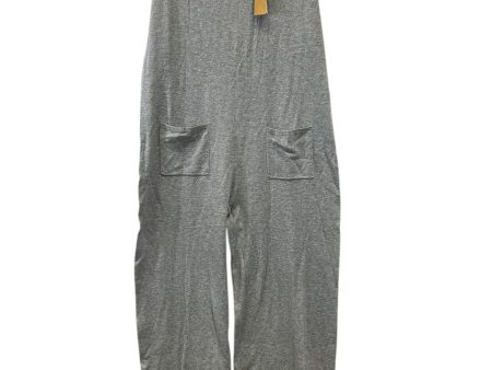 Jumpsuit By Mustard Seed In Grey, Size: M Discount