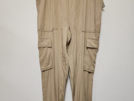 Pants Cargo & Utility By Sanctuary In Tan, Size: 12 on Sale