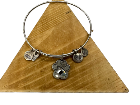 Bracelet Charm By Alex And Ani Online