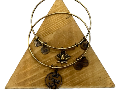 Bracelet Charm By Alex And Ani, Size: 02 Piece Set Online now